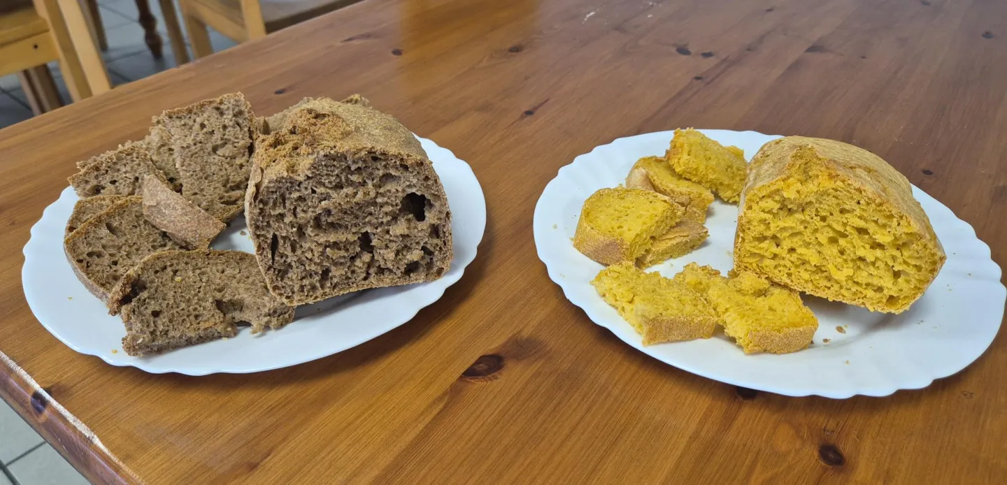 Vrijedne ruke studenata na vježbama iz kolegija Poznavanje sirovina i proizvoda biljnog i životinjskog podrijetla